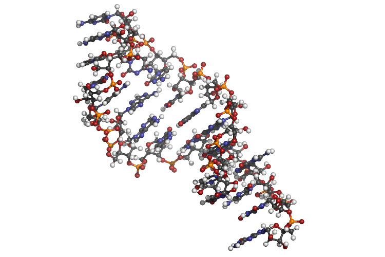 RNA molecule based binding affinity prediction
